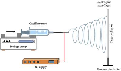 Fabrication Methods of Electroactive Scaffold-Based Conducting Polymers for Tissue Engineering Application: A Review